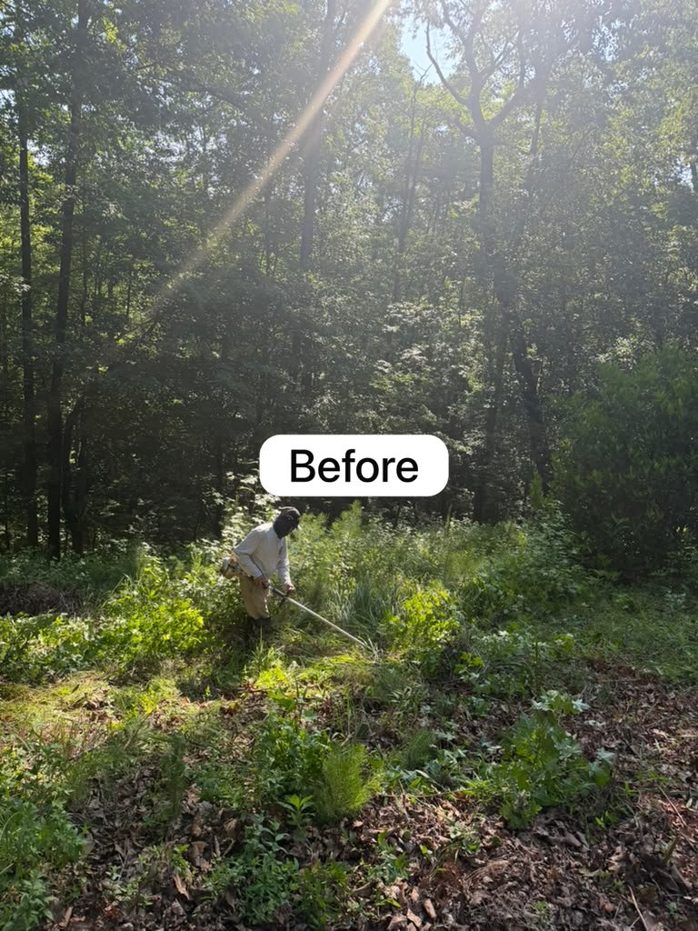 Leaf blowing and cleanup project photograph 5